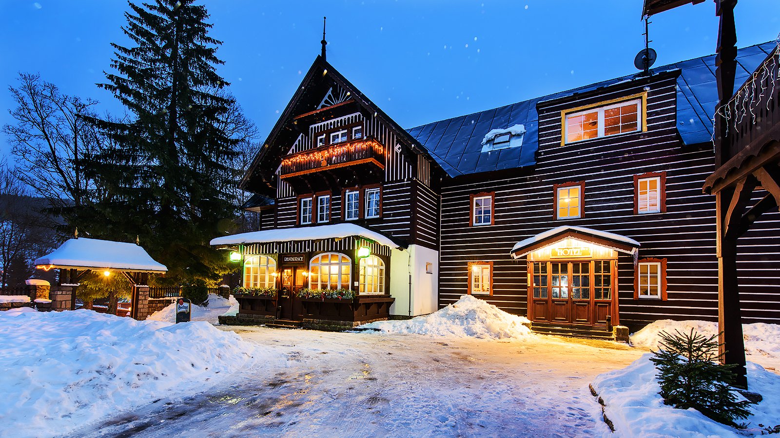 Tři růže – fotka 18