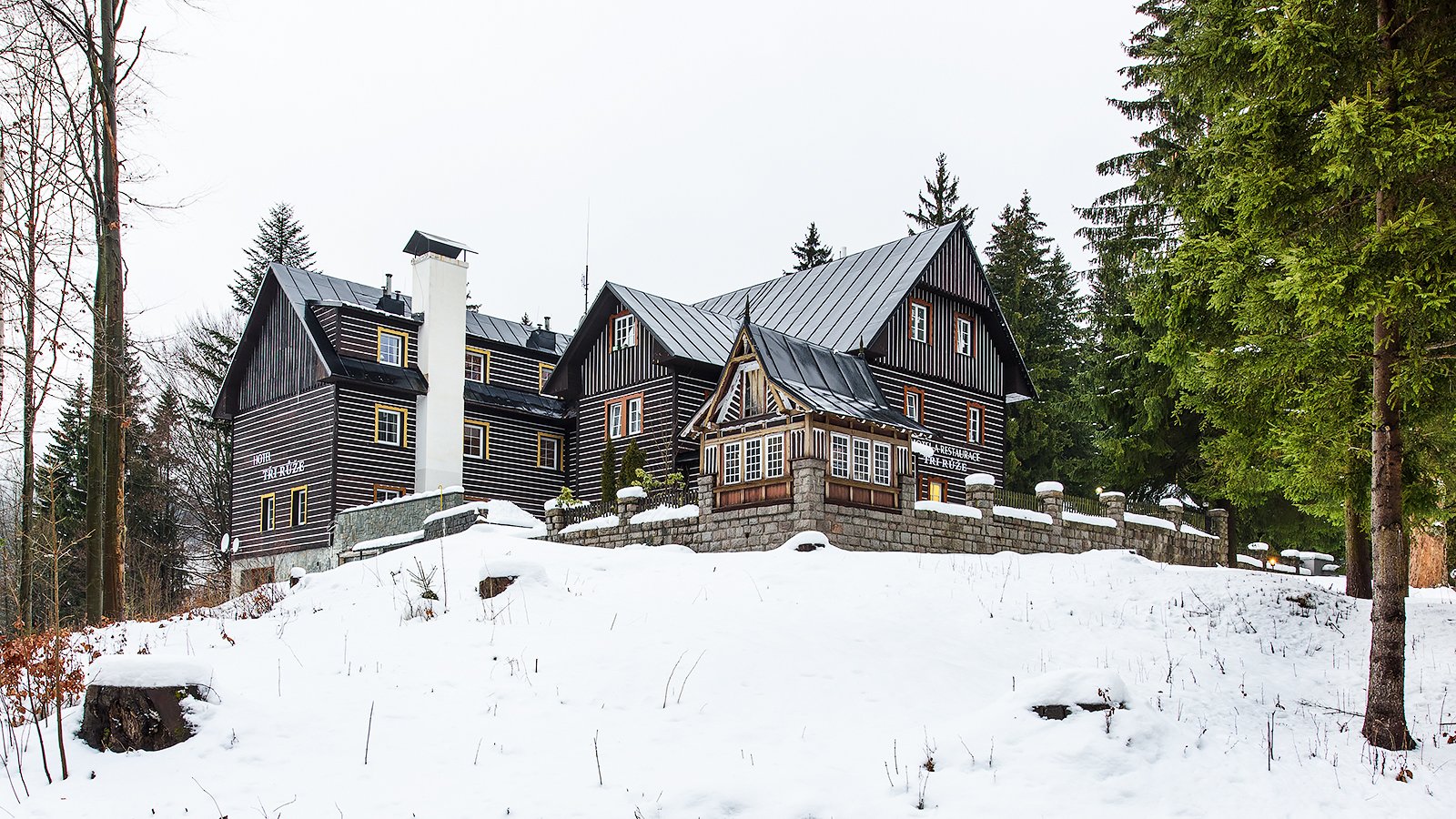 Tři růže – fotka 10