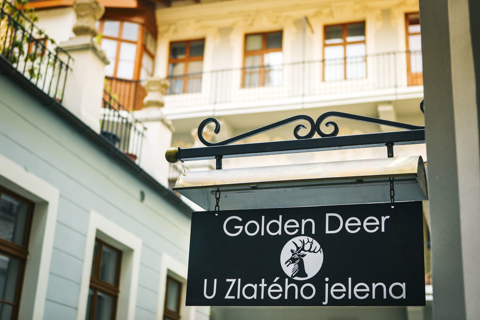 U Zlatého jelena – fotka 2