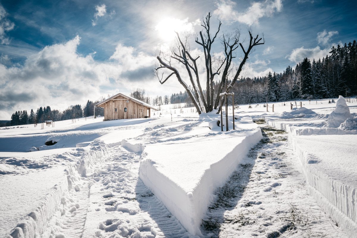 Knížecí cesta - apartmány – fotka 25