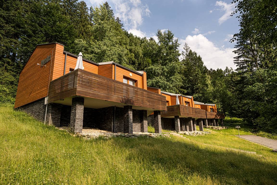 Horský hotel Lorkova Vila – fotka 5