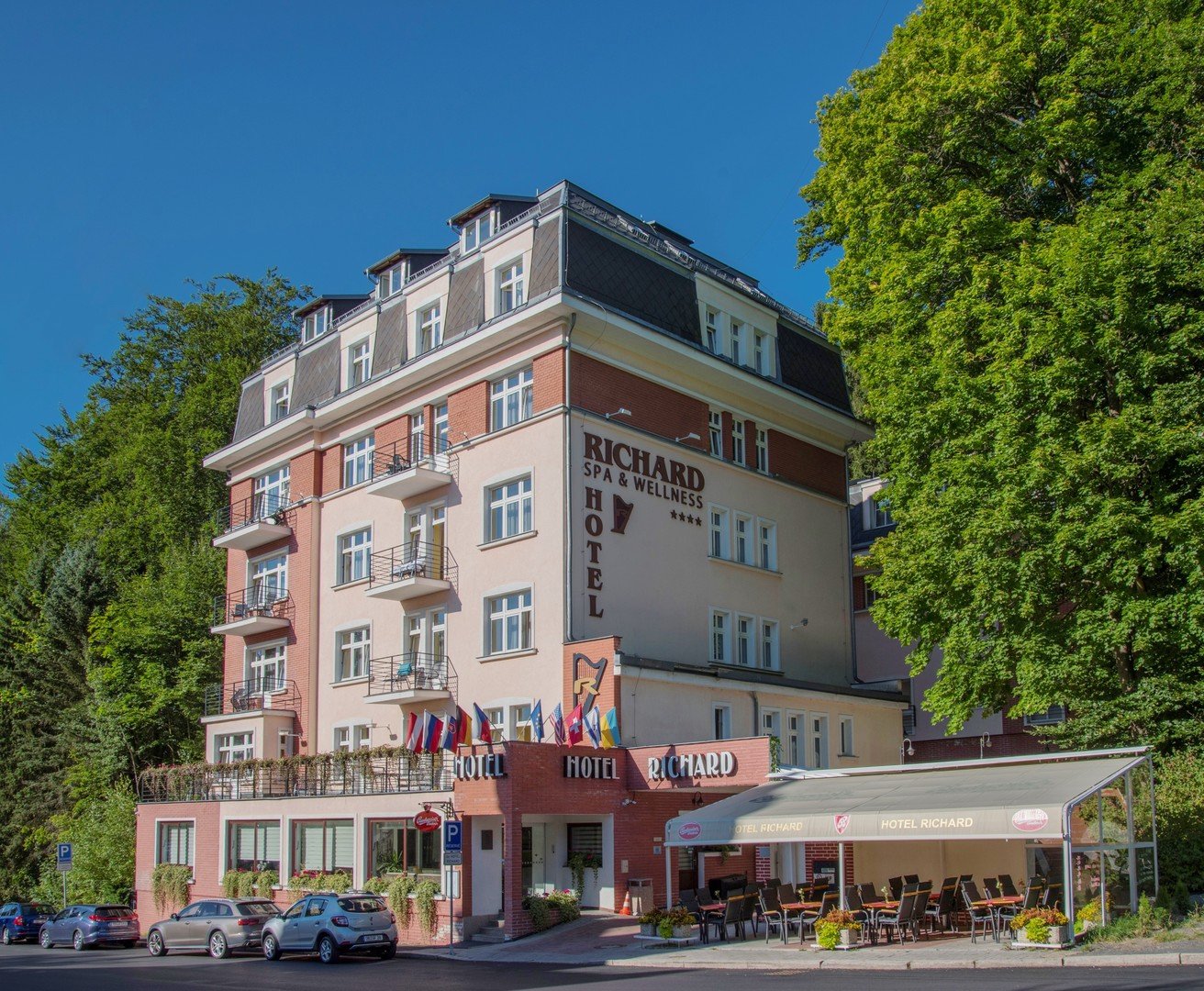 Obrázek hotelu Wellness & Spa hotel Richard