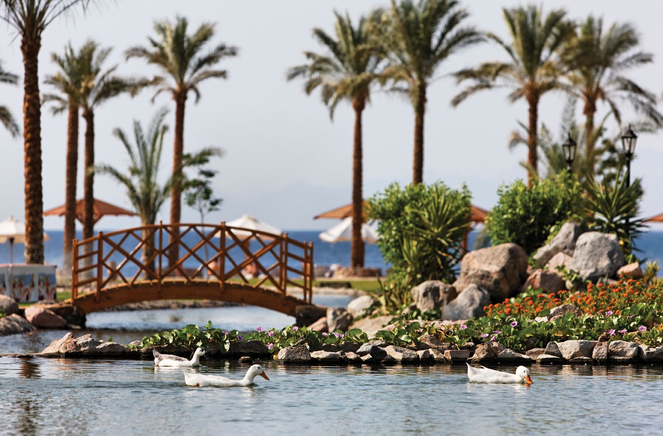 Movenpick Taba Resort – fotka 56