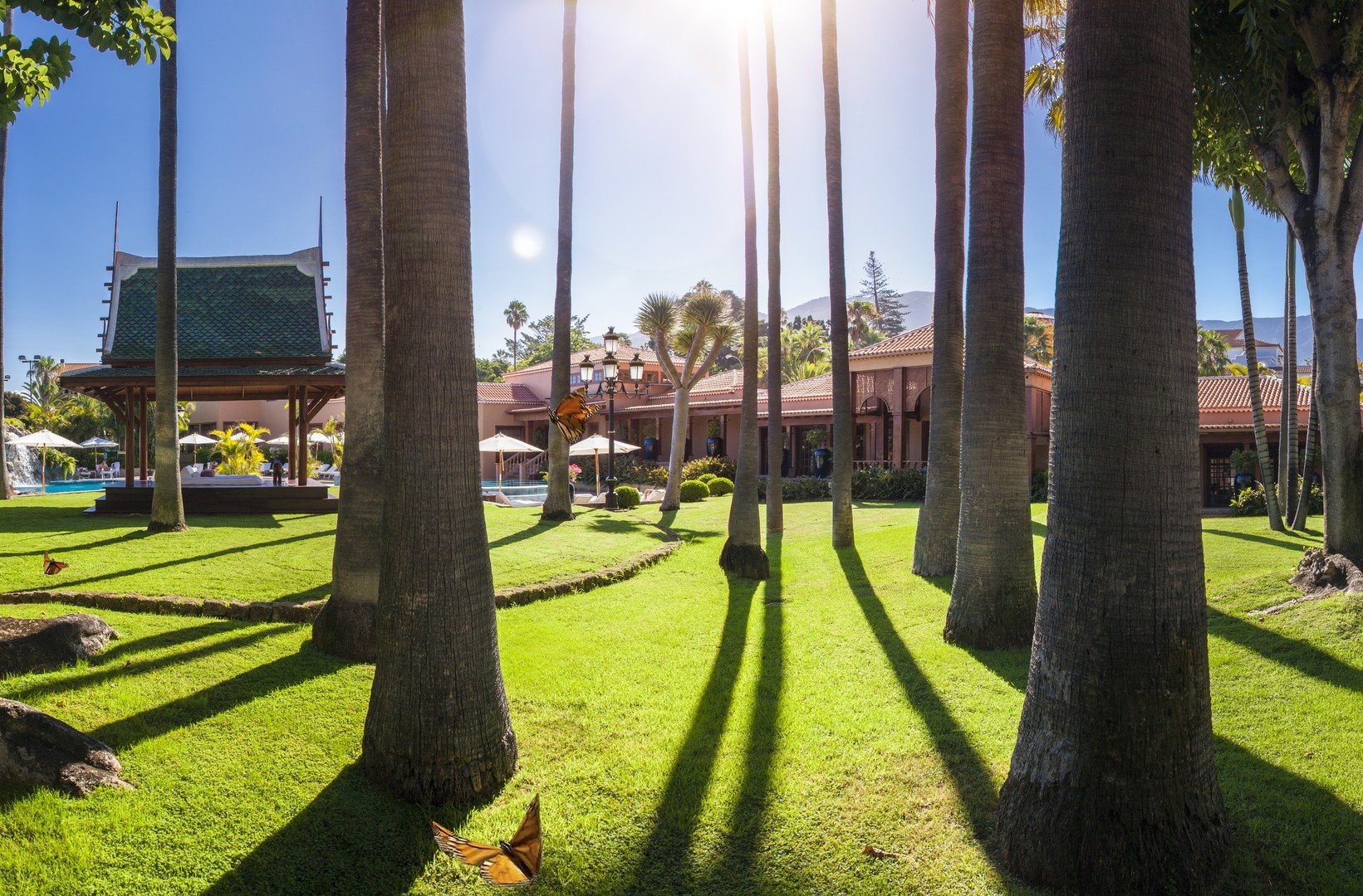 Botanico – fotka 14