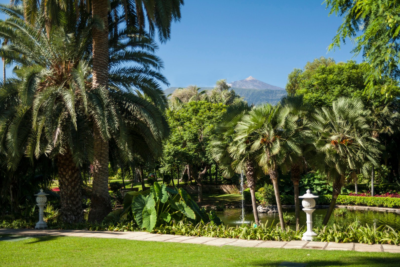 Botanico – fotka 17