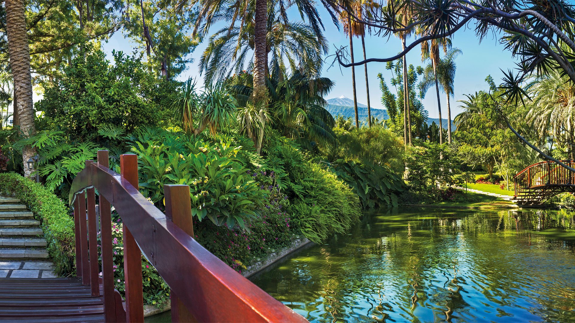 Botanico – fotka 4