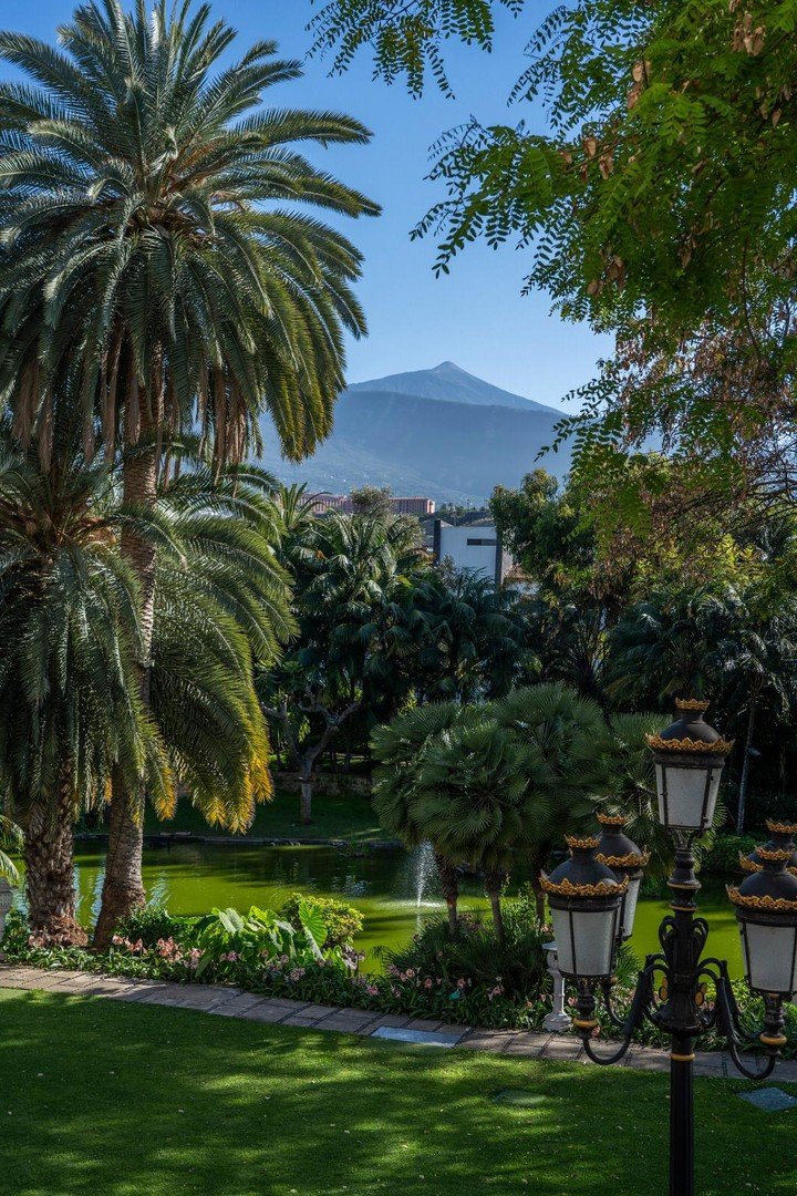 Botanico – fotka 5