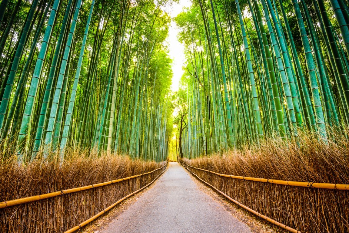 To nejlepší z Japonska – fotka 11