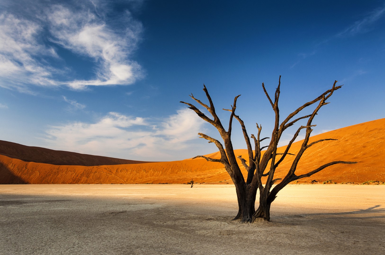 Rozmanité krásy Namibie se safari – fotka 5