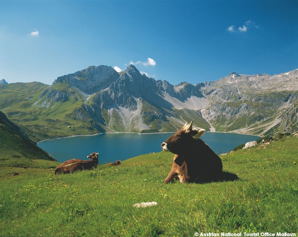 Za krásami Tyrolska a Vorarlberska s návštěvou Švýcarska – fotka 4