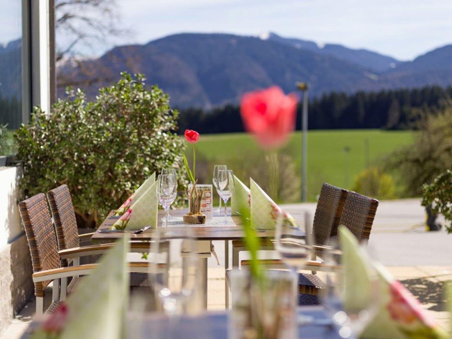 Gasthof Hotel Baumgarten – fotka 6