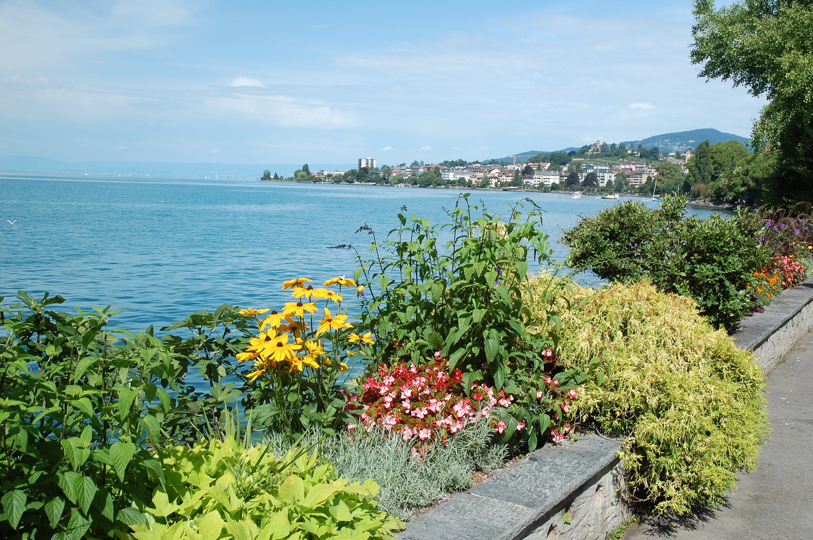 Panoramatickým Goldenpass Expresem k Ženevskému jezeru – fotka 6