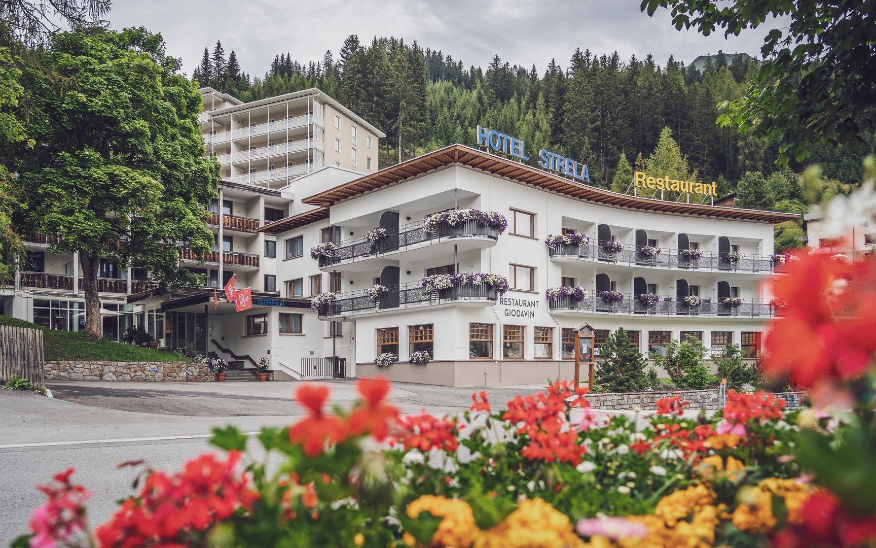 Strela – fotka 20