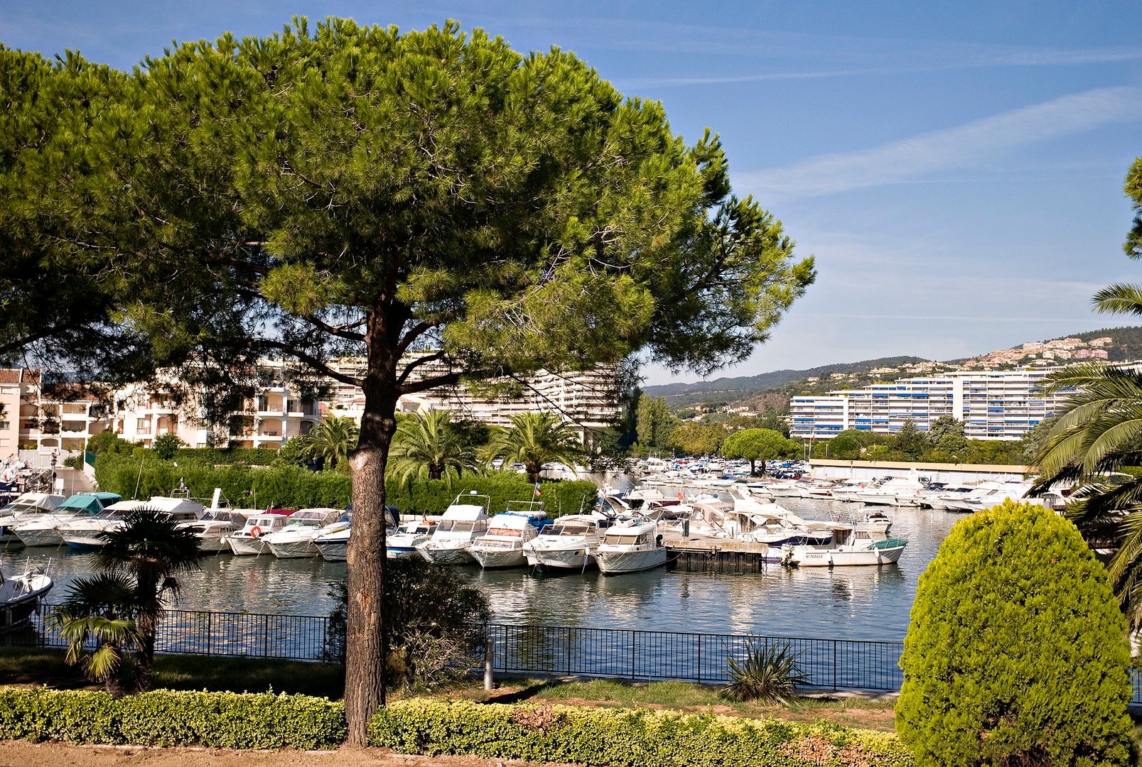 Carré Marine – fotka 11