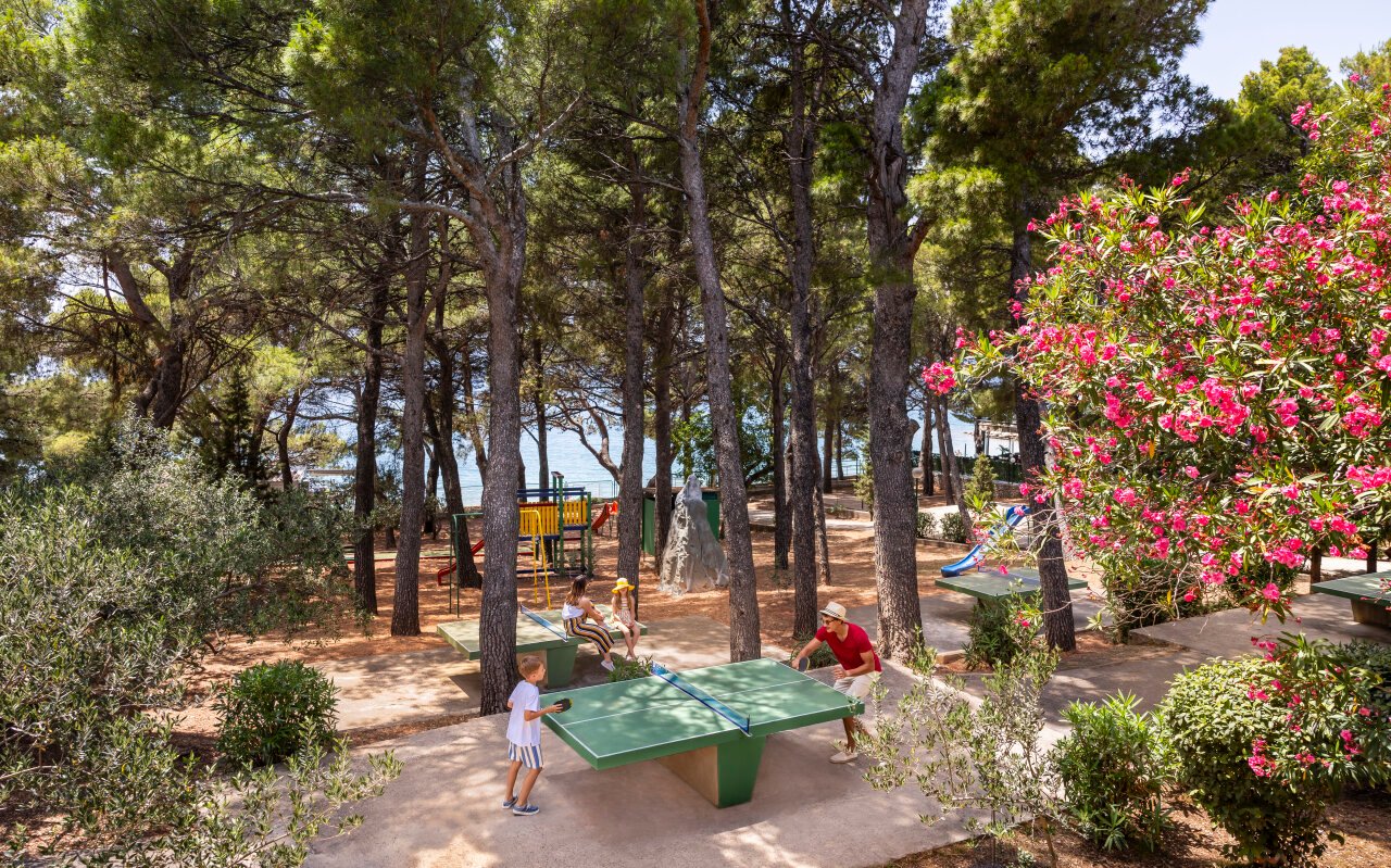 Rivijera Sunny Resort – fotka 25