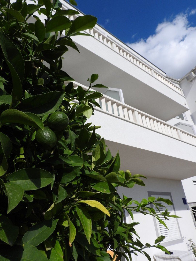 Vila Manda – fotka 59