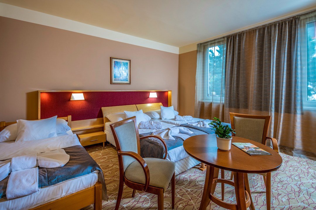 Dráva Hotel Thermal Resort – fotka 3