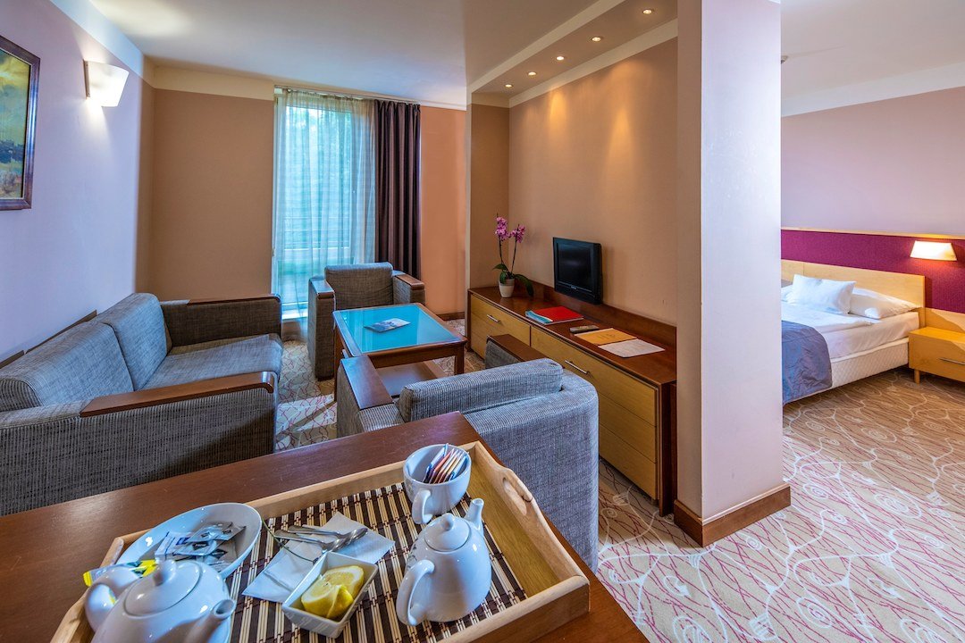 Dráva Hotel Thermal Resort – fotka 7