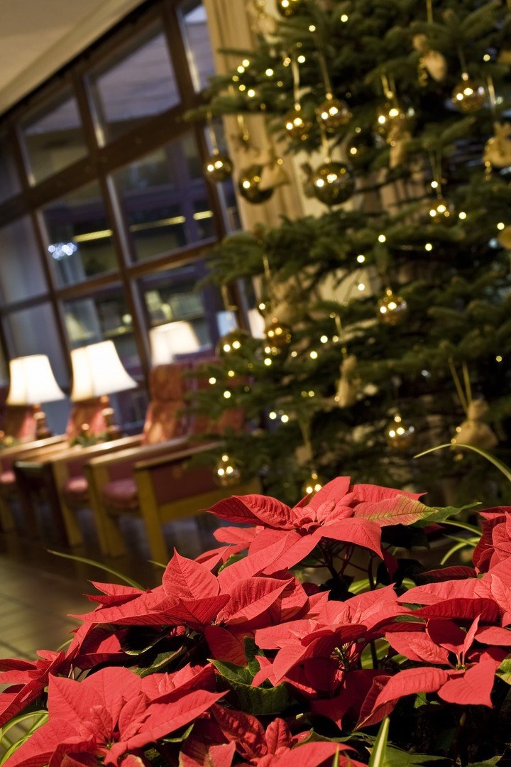 Health Spa hotel Sárvár – fotka 18