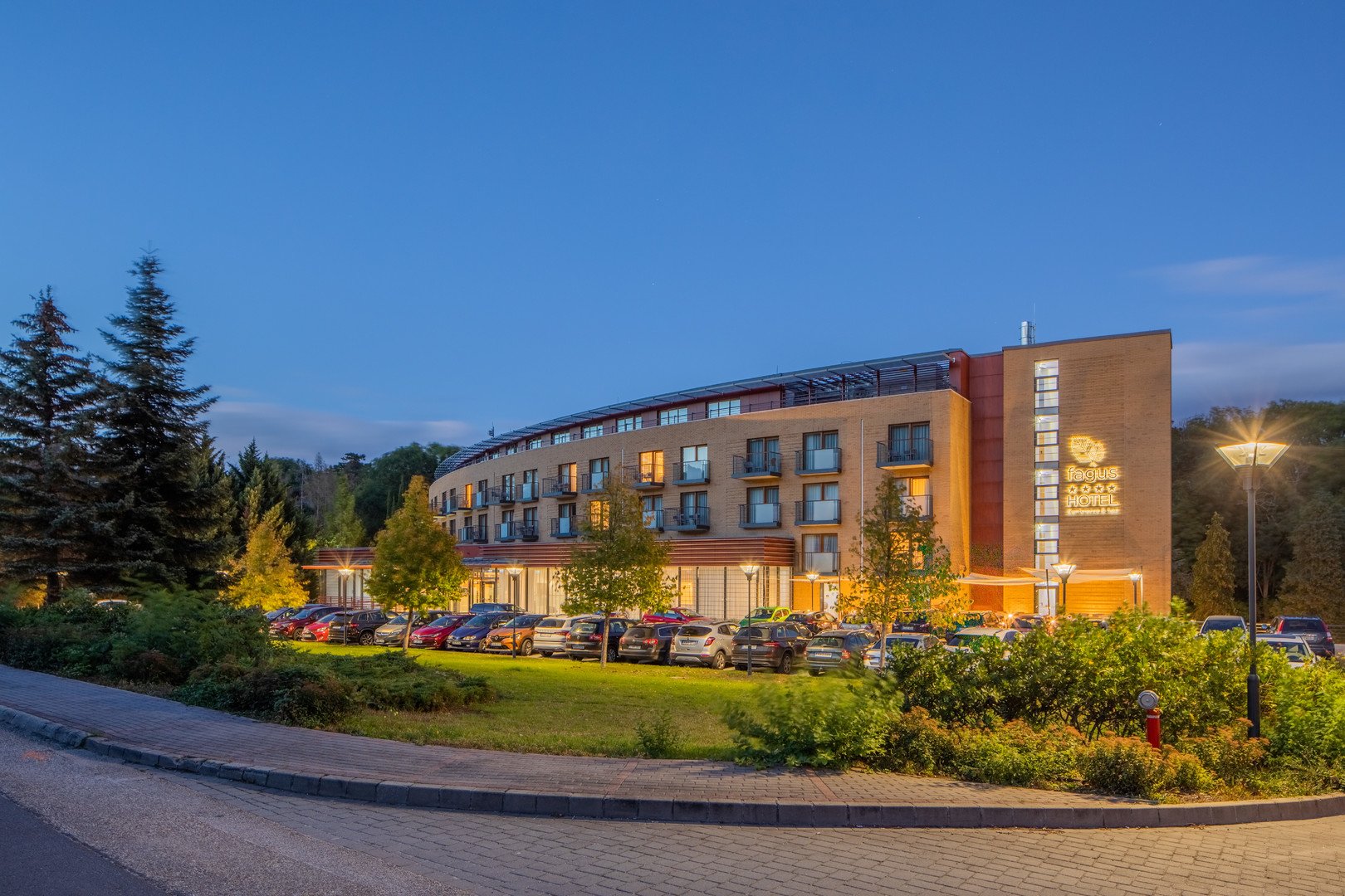 Obrázek hotelu Fagus