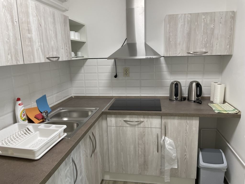 Apartmánový Dům Lepke Liget (margaréta) – fotka 9