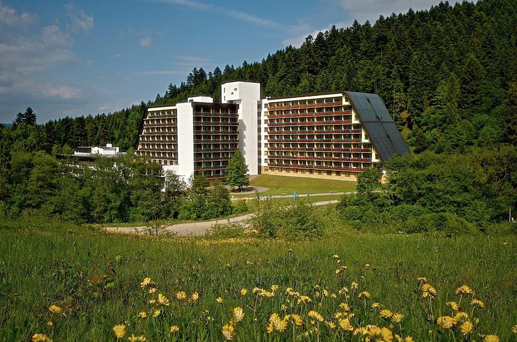 Sorea Ĺubovňa – fotka 2