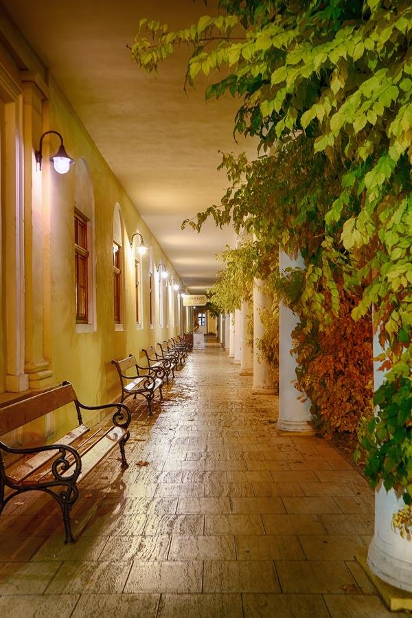 Pro Patria Ensana Health Spa Hotel (Spa Hotel Pro Patria) – fotka 13