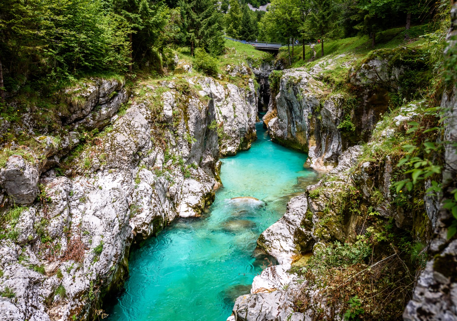 Slovinsko - ukrytý ráj mezi mořem a Alpami – fotka 7