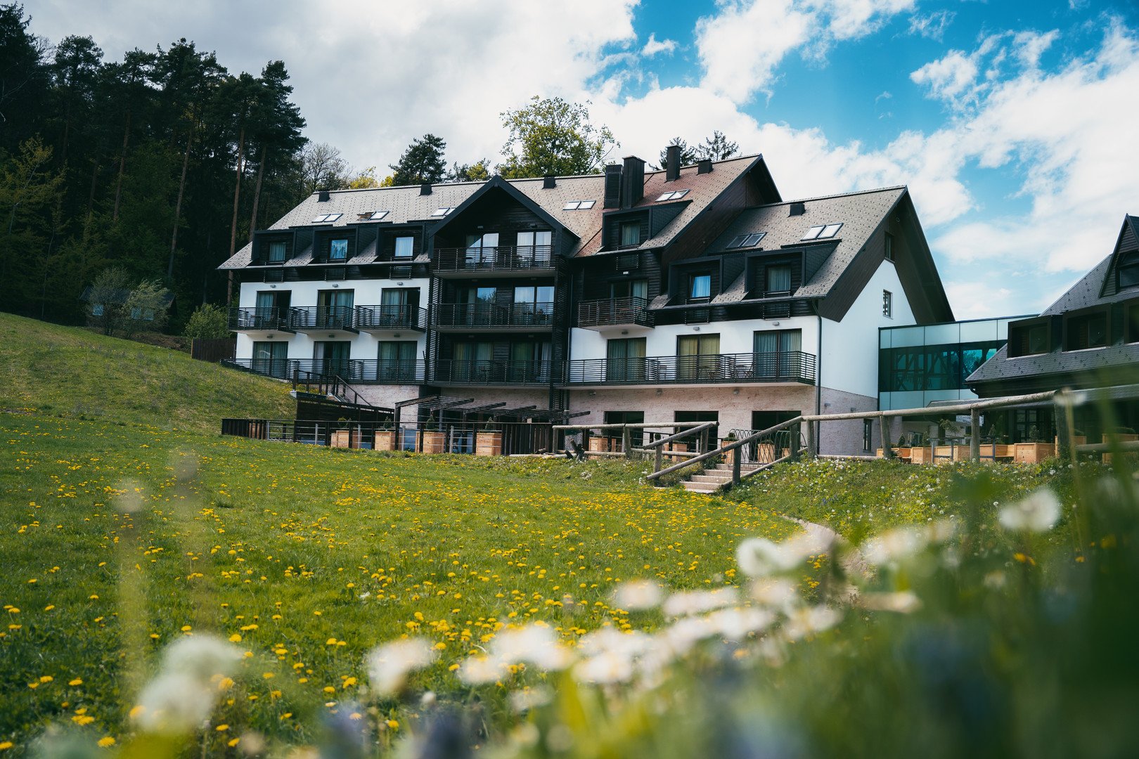 Obrázek hotelu Arena