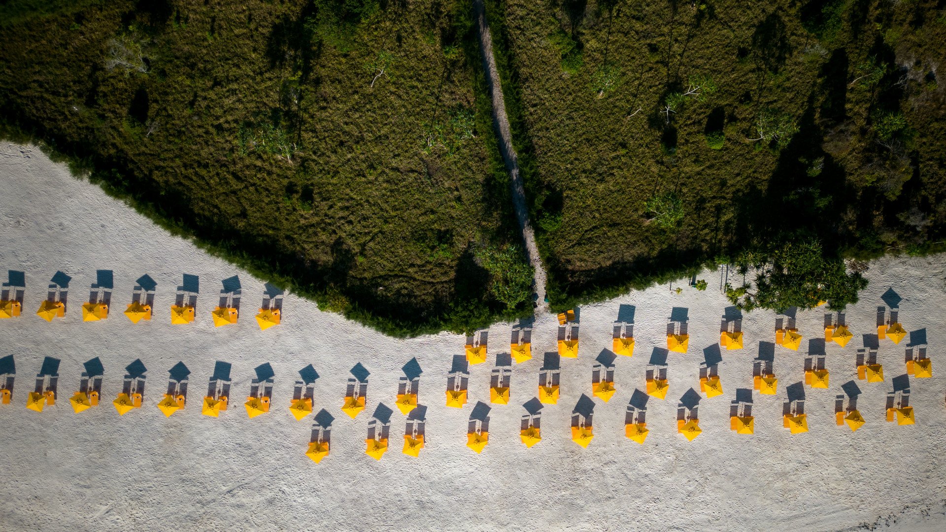 Emerald Zanzibar – fotka 25