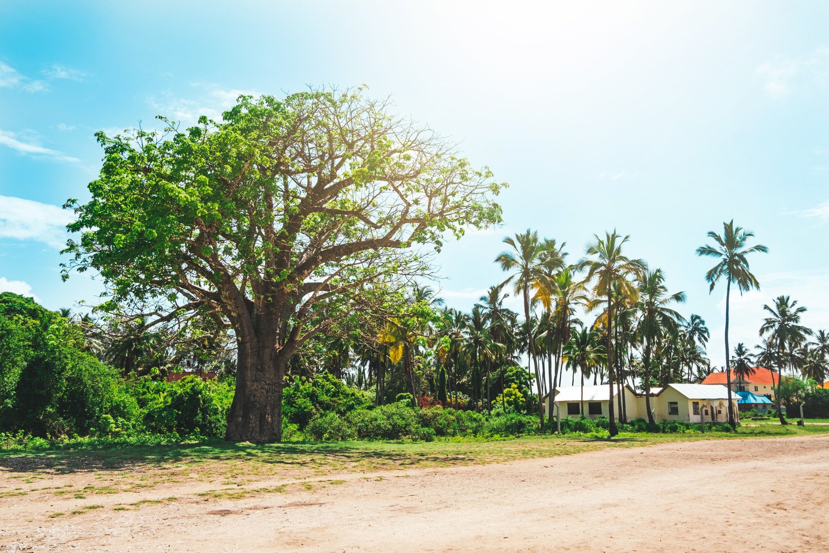 Ze Zanzibaru na safari – fotka 3