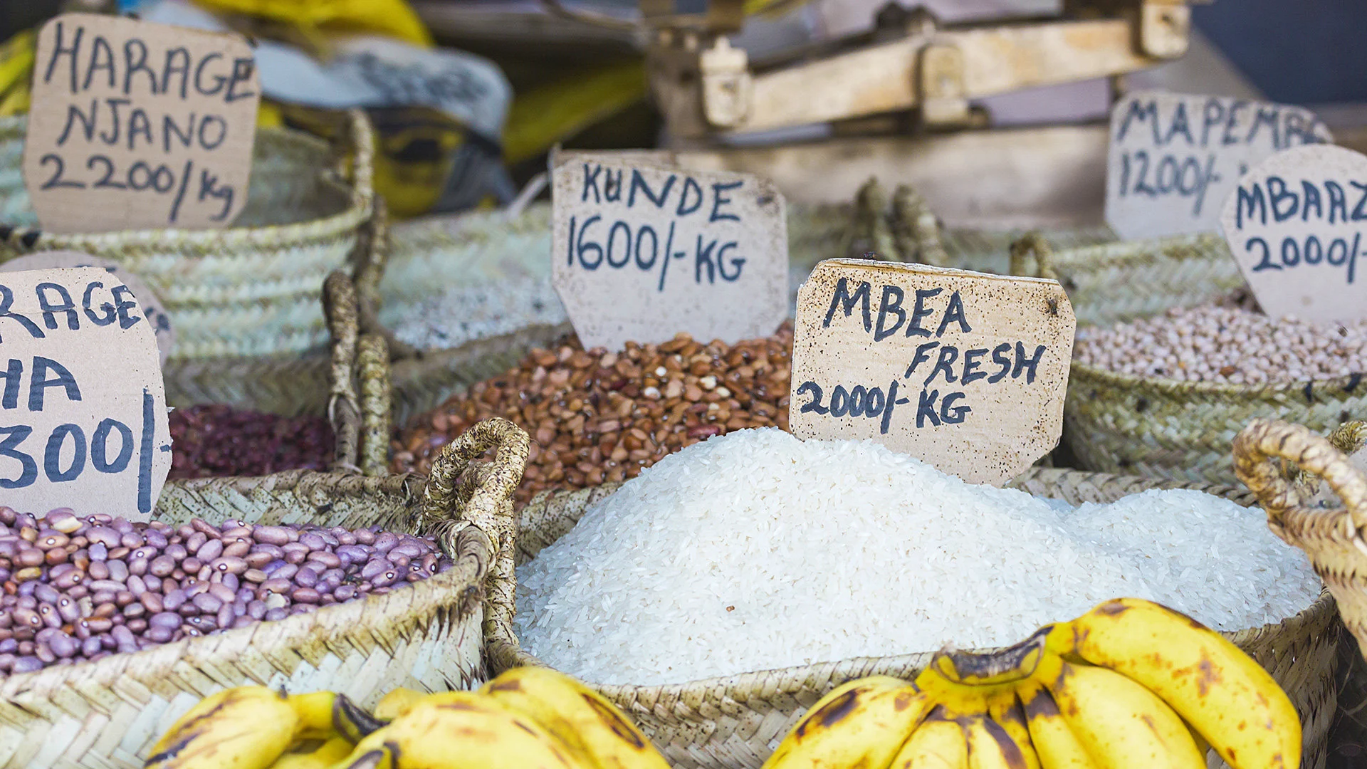 Ze Zanzibaru na safari – fotka 7