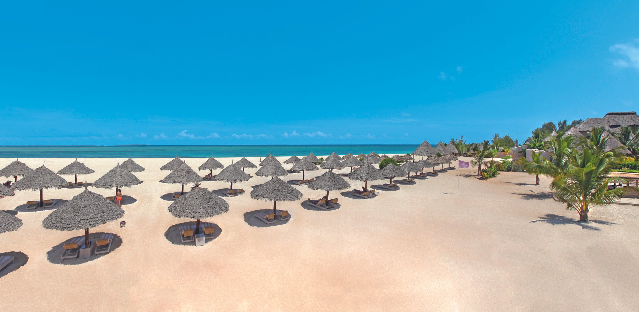 Gold Zanzibar – fotka 16