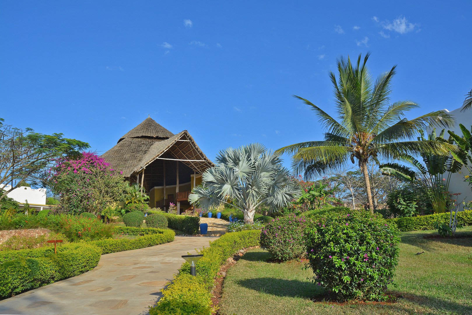 Gold Zanzibar – fotka 3
