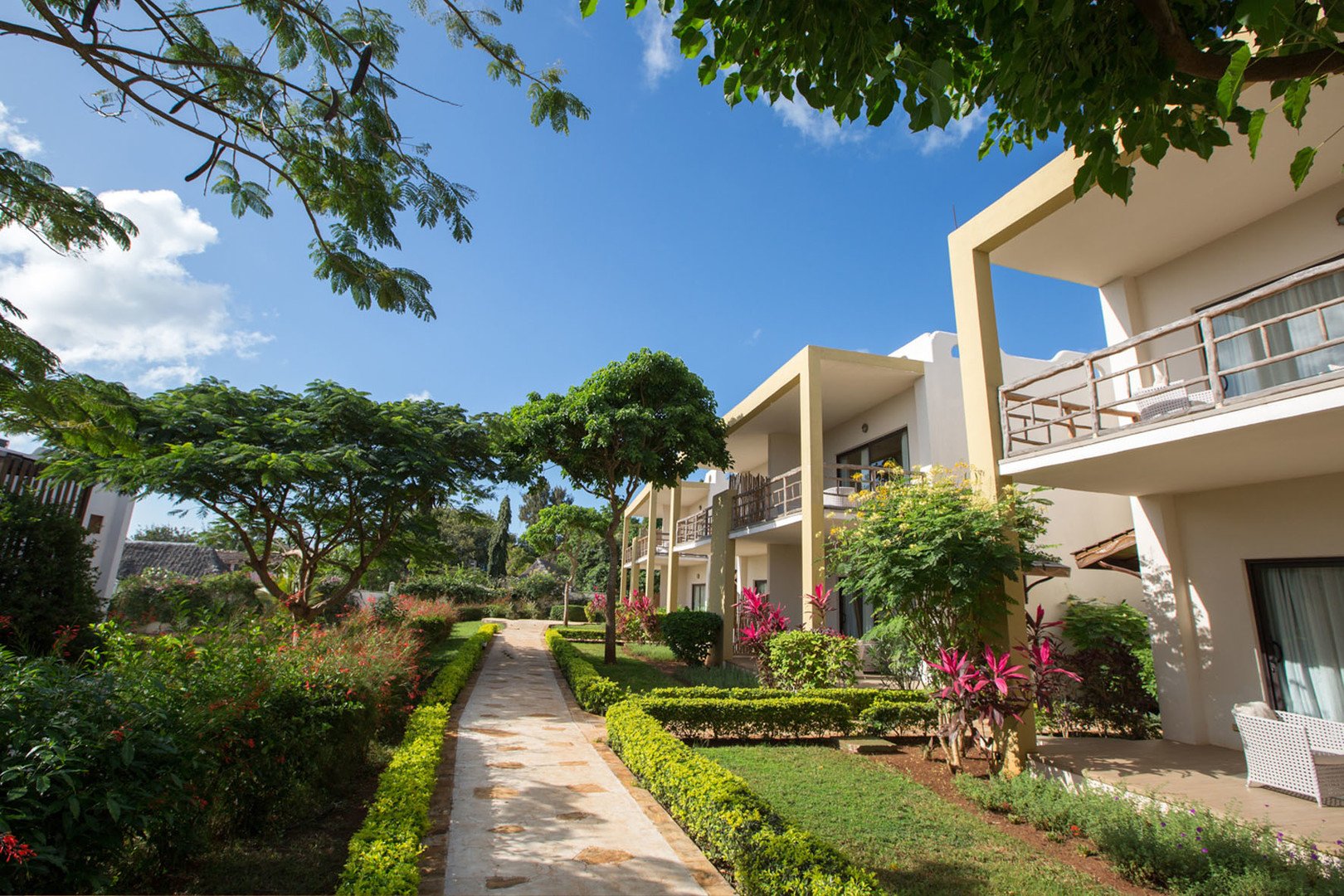Gold Zanzibar – fotka 4