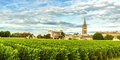 K pevnosti Boyard a vinicím Bordeaux #3