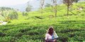 Zeleným rájem Srí Lanky #5