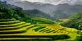 Panenskou krajinou severního Vietnamu #1