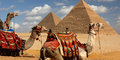 To nejlepší z Egypta s plavbou po Nilu, návštěvou pyramid a pobytem u moře #5