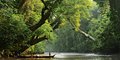 Malajsie a deštné pralesy #1