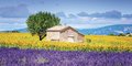 Báječná Provence #3