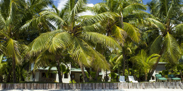 Hotel Indian Ocean Lodge