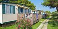 Arena Stupice Campsite #1