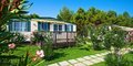 Arena Stupice Campsite #3