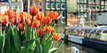 Amsterdam #2