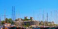 Ahoj Bodrum! -  Hotel Papi  #2