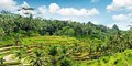 Bali na jawie #5