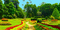Tylko dla Ciebie – Lankijskie ogrody #5