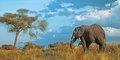 Karibuni Tanzania #1