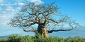 Karibuni Tanzania #2